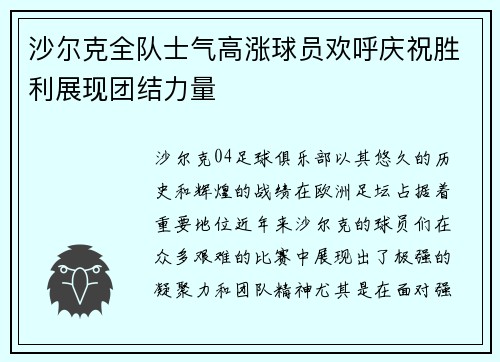 沙尔克全队士气高涨球员欢呼庆祝胜利展现团结力量