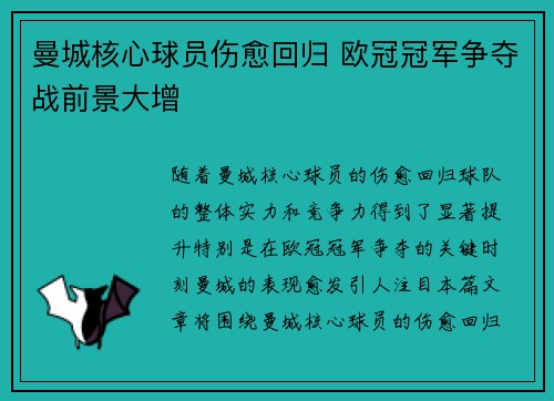 曼城核心球员伤愈回归 欧冠冠军争夺战前景大增